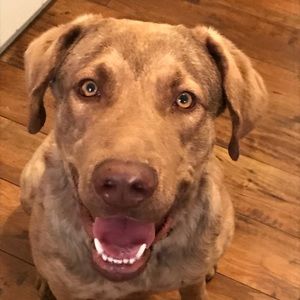 Meet your Posher, Rachel